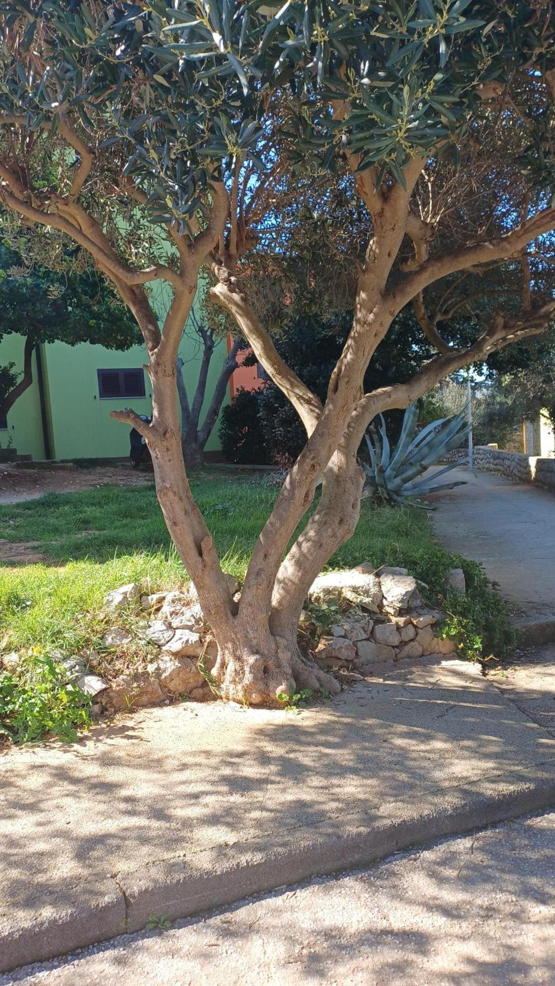 Apartmán Dairos2 Mali Lošinj Exteriér fotografie